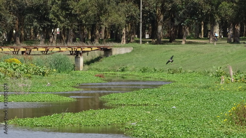 the bridge over the beautiful lagoon