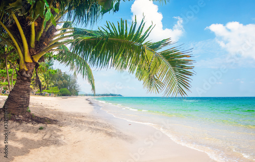 Fototapeta Naklejka Na Ścianę i Meble -  beach and coconut palm trees