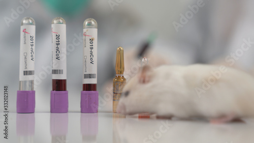 Scientists test lab rat, mouse with syringe. Scientist and lab rat Back ground. Coronavrius test tubes. photo