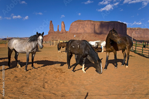 Horses grazing in front of red buttes and colorful spires of Monument Valley Navajo Tribal Park  Southern Utah near Arizona border