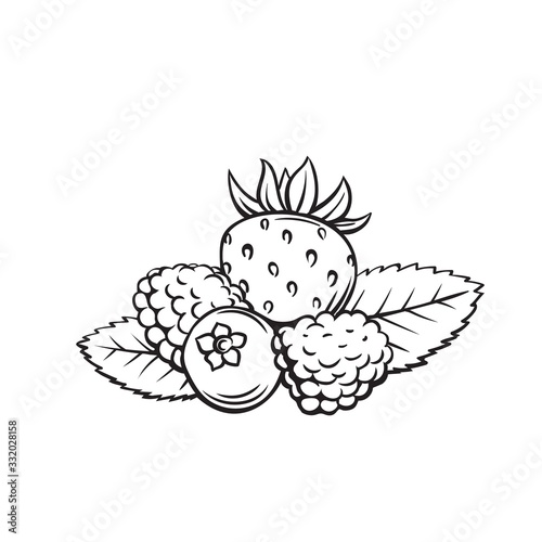 Berry fruit outline