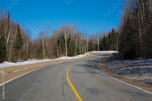 Route forestière en forêt au Québec, Canada