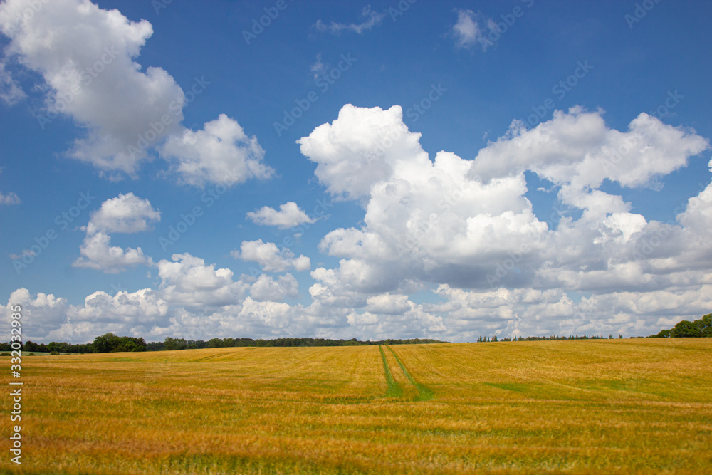Φωτογραφία Farmland landscape of Lolland island in southern Denmark