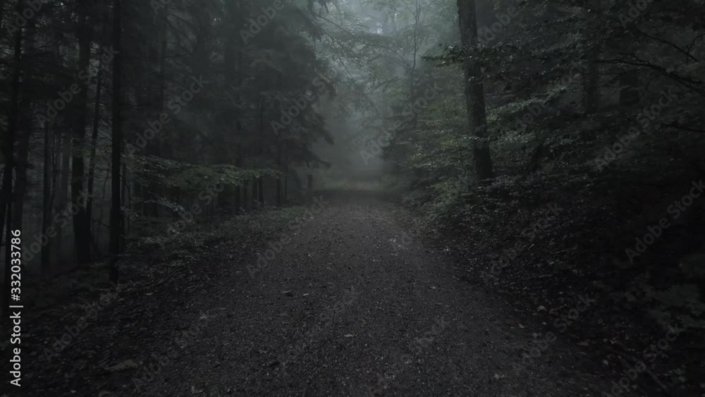 aerial drone flight through the creepy foggy forest along the road