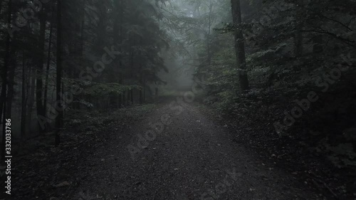 aerial drone flight through the creepy foggy forest along the road