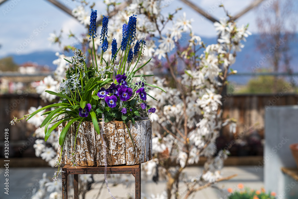 Fototapeta premium Spring flowers and gardening accessories