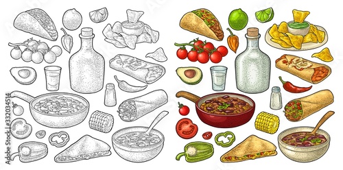 Mexican traditional food set with Guacamole, Enchilada, Burrito, Tacos, Nachos