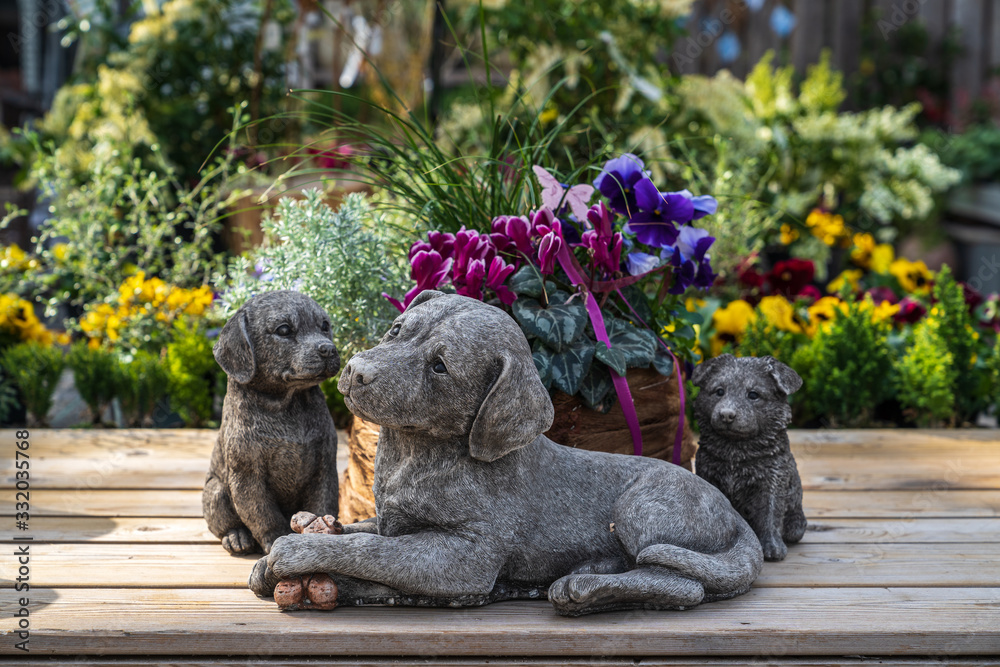 Spring flowers and gardening accessories Spring flowers and gardening accessories