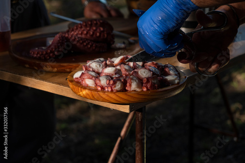 Spanish food. Person with blue gloves preparing a typical dish from the Spanish region of Galicia  octopus served on a wooden plate. Pulpo a Feira.