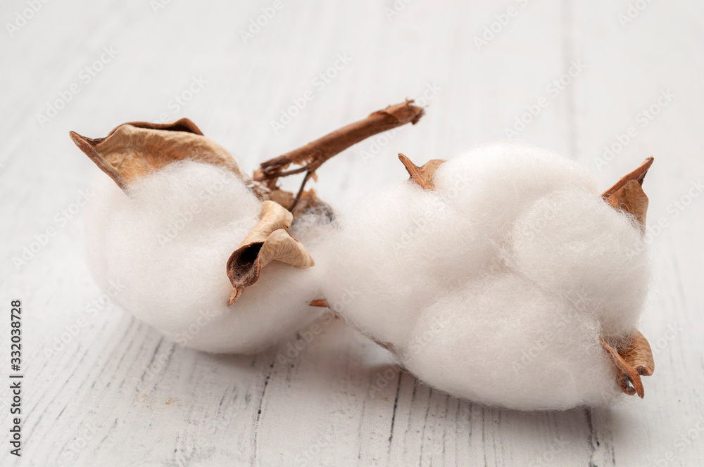 Raw material and textile fiber production concept with close up on ...