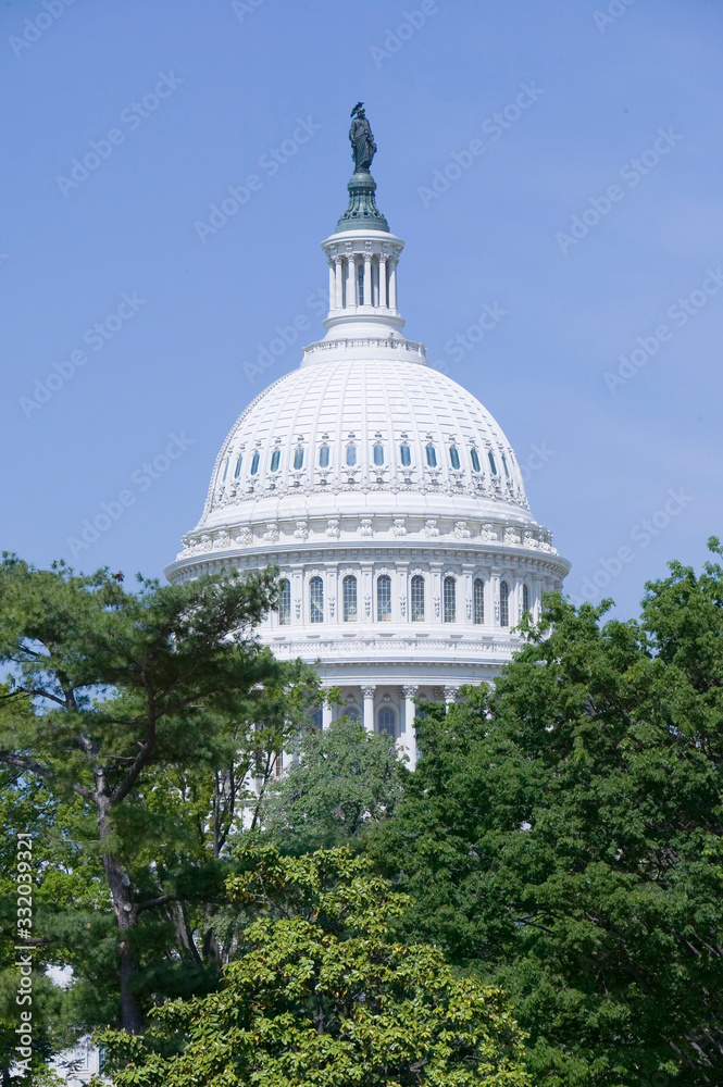 U.S. Capitol Dome with Statue of Freedom atop overlooking Washington D.C. trees in spring.
