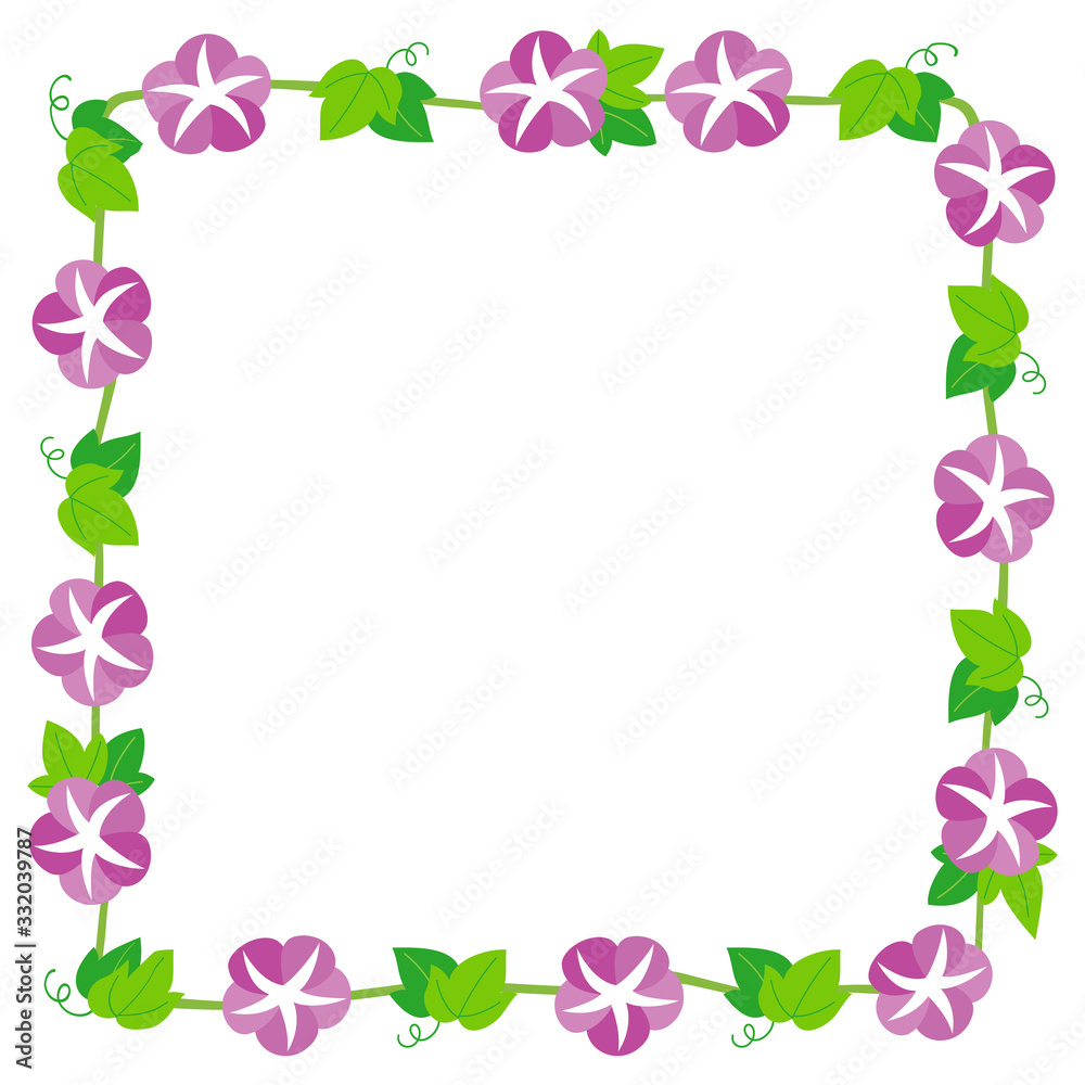 Morning glory frame on white background Morning glory frame on white background