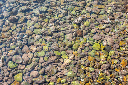 Canvas Print stony bottom of the sea