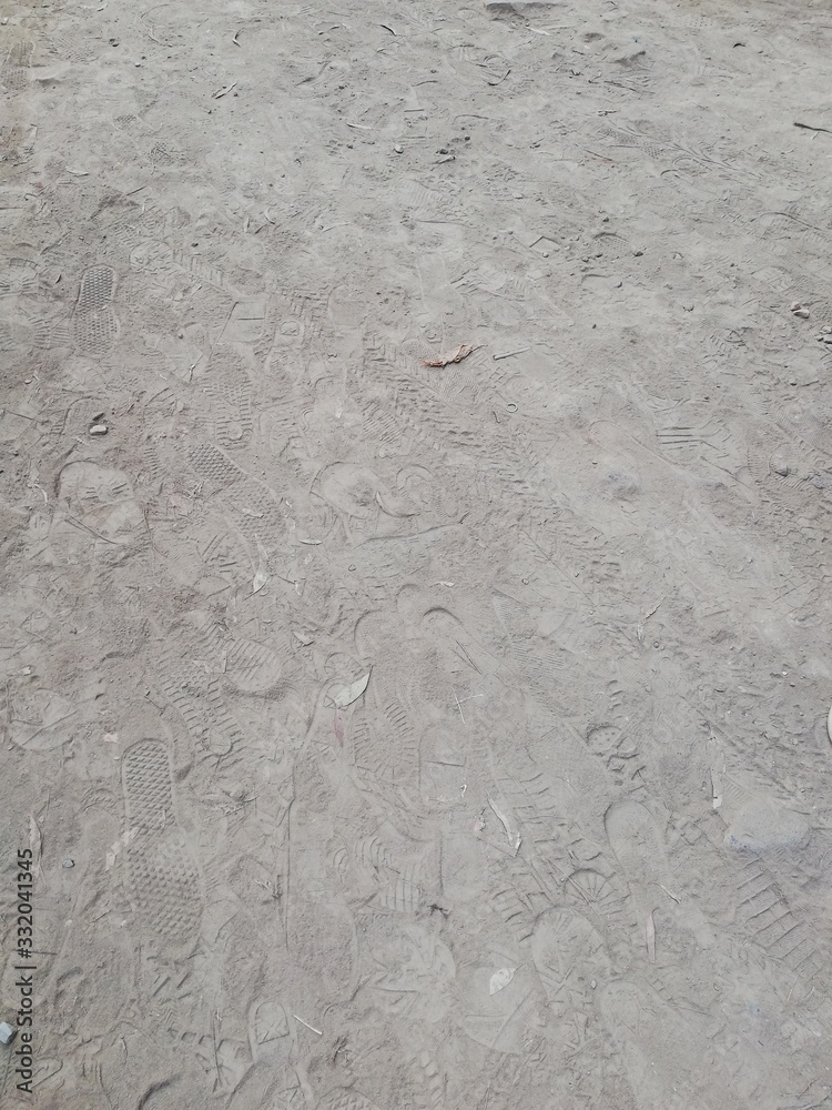 Fototapeta premium Huellas en la tierra
