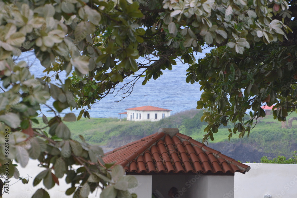 Fototapeta premium f noronha