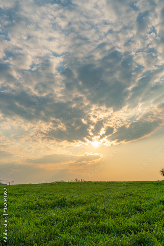 Fototapeta premium sunset over green field