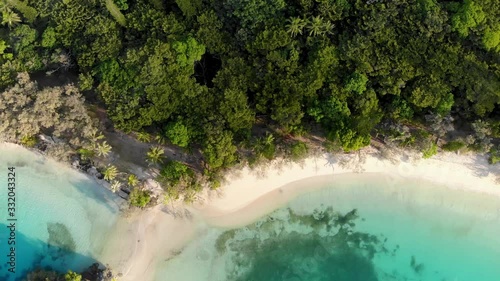 Surrounded by plants of coconut trees and column pines, the beach of Kanumera bay is ideal for snorkeling in the scenario of the Isle of Pines in New Caledonia. photo