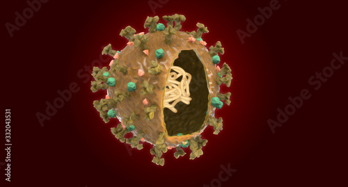 Coronavirus Covid-19 anatomic vivisection 3D photo