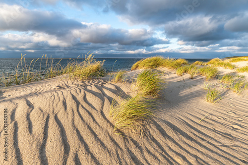 Fototapeta Naklejka Na Ścianę i Meble -  Sand dunes on the beach at the North Sea coast