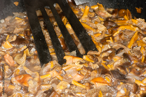 Craterellus tubaeformis photo