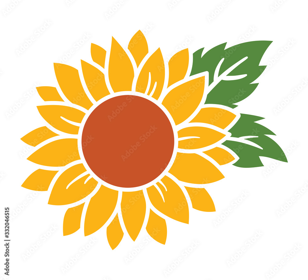 Yellow sunflower with green leaves vector illustration.