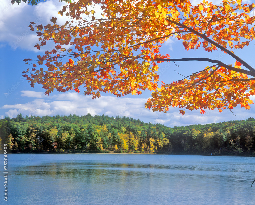 Obraz premium Walden Pond, Massachusetts