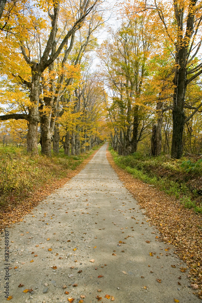 Backroads in autumn on Mohawk Trail in western Massachusetts, New England