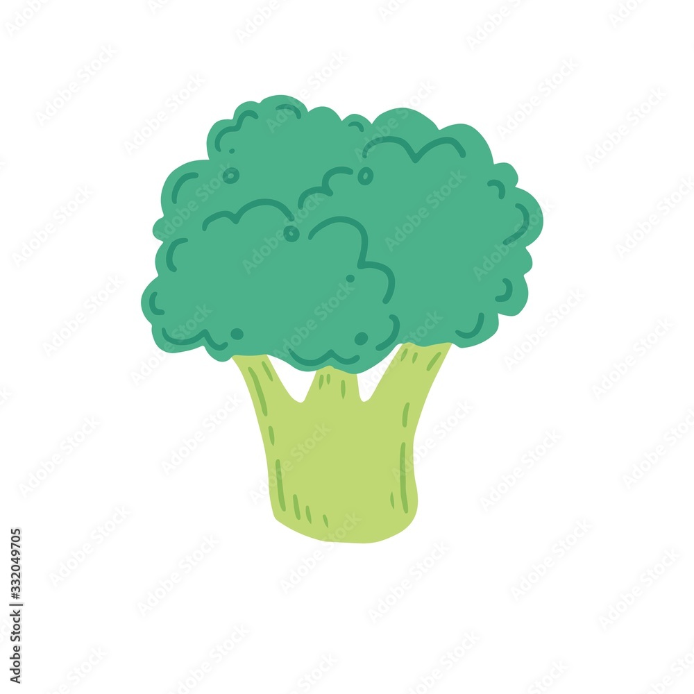 Broccoli vector illustration isolated. Concept of healthy food, vegetable. Broccoli have abstract, cartoon, hand drawn style. Broccoli vector illustration isolated. Concept of healthy food, vegetable. Broccoli have abstract, cartoon, hand drawn style.