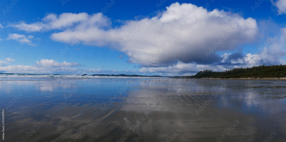 Panoramic view of empty beach on the west coast of Canada