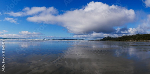 Fototapeta Naklejka Na Ścianę i Meble -  Panoramic view of empty beach on the west coast of Canada