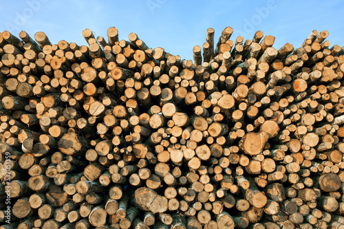 stack of wood piles trunks at transportation cargo train station composition