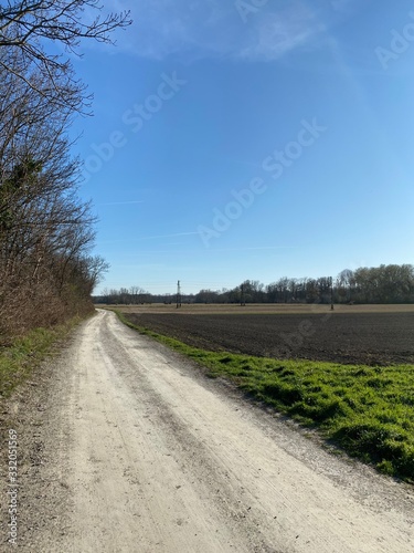 track across the fields, dirt road, landscape with road, trees near dirt road, trees next to dirt road, somewhere in nowhere, fied, acre, agriculture, farming, farm, agriculturale