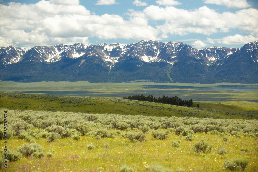 Spring grasslands and flowers in Centennial Valley near Lakeview, MT