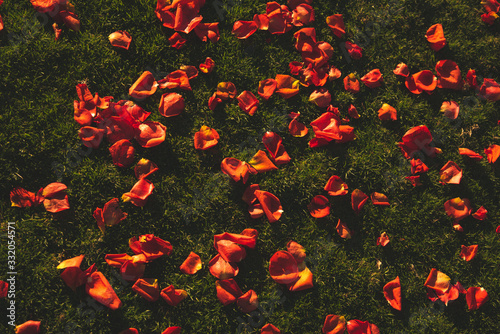 Red Orange Natural Flower petals on the grass, after a wedding
