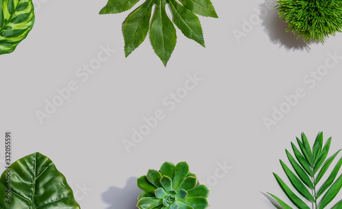 Tropical green leaves from above - overhead view