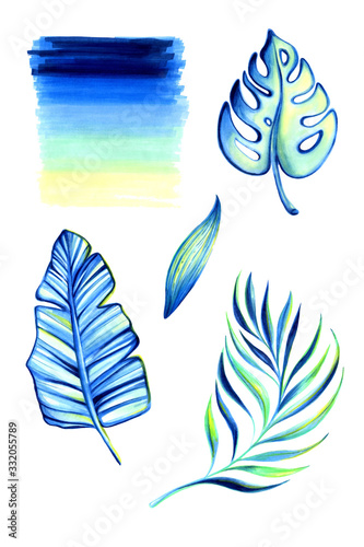 Exotic, tropical leaf set and colored background. Summer mood in a combination of colors, blue, turquoise, yellow and green. Illustration drawn with a marker isolated on a white background.