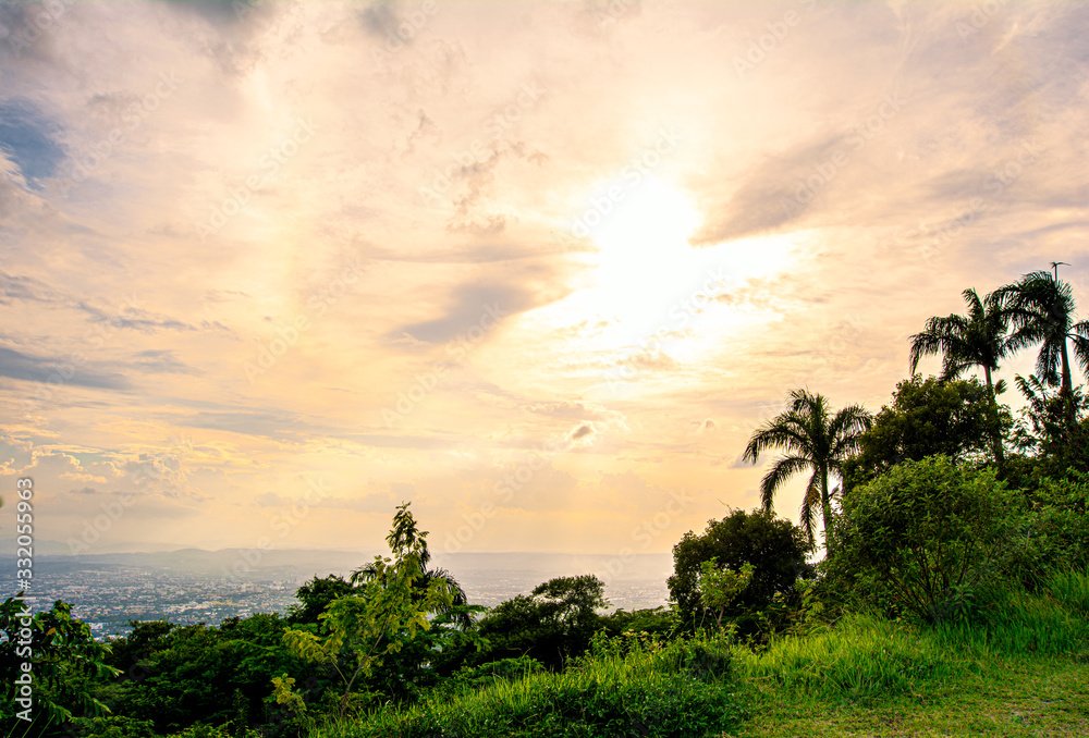 Fototapeta premium sunset in the park