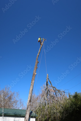 Tree climber lowering down top of tree