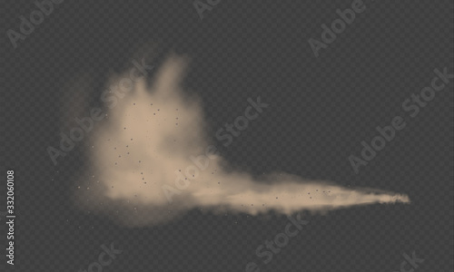 Dust cloud, sand storm, powder spray on transparent background. Desert wind with cloud of dust and sand. Realistic vector illustration.