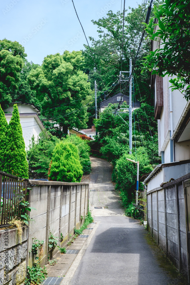 Sunny alley and trees at streets of Kamakura, Japan