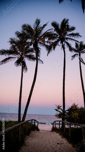 palm tree against sunset pink purple blue sky tropical resort summer vacation pastel colour airly sky with ocean