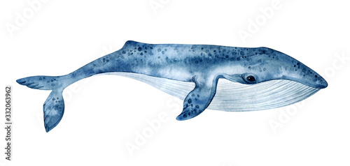Obraz na płótnie Watercolor blue whale illustration isolated on white background