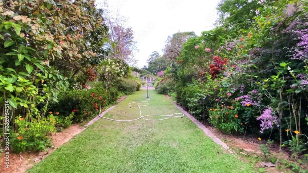 Strolling at Penang Botanic Garden, Penang Island, Malaysia Strolling at Penang Botanic Garden, Penang Island, Malaysia