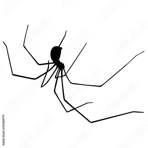 Cellar Spider Clipart