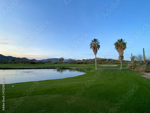 golf course blue hour palm trees