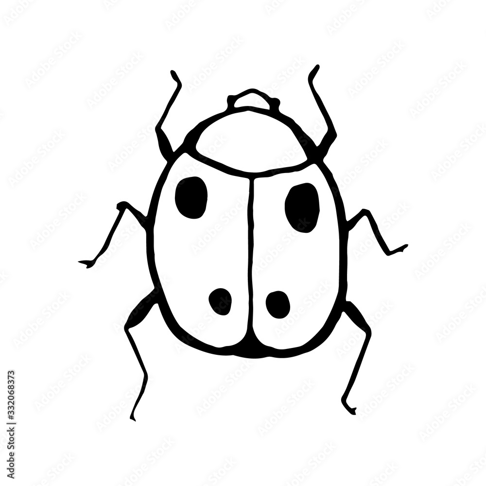 ink sketch vector beetle, hand drawing silhouette ink sketch vector beetle, hand drawing silhouette