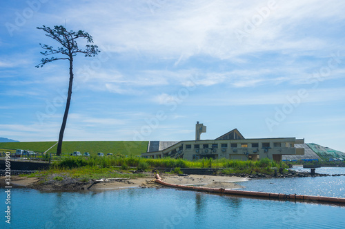 津波に負けなかった一本の松 (日本 - 福島 - 陸前高田市)