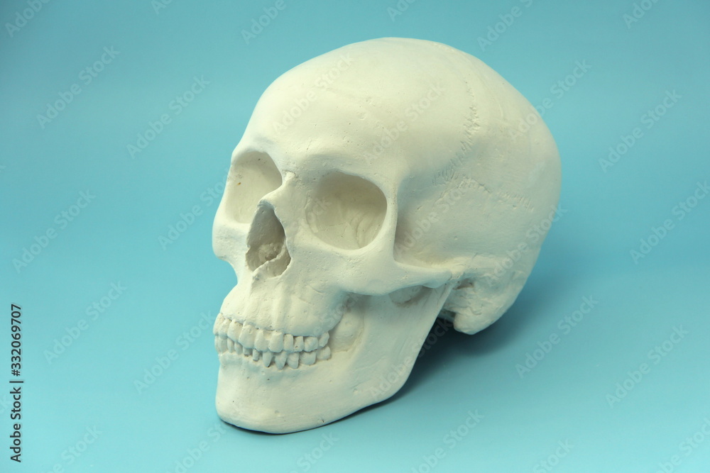 Obraz premium White human skull made of plaster on a blue background. The concept of health, medicine, life and death