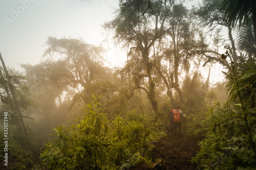 Misty path down Mount Bisoke volcano, Rwanda photo