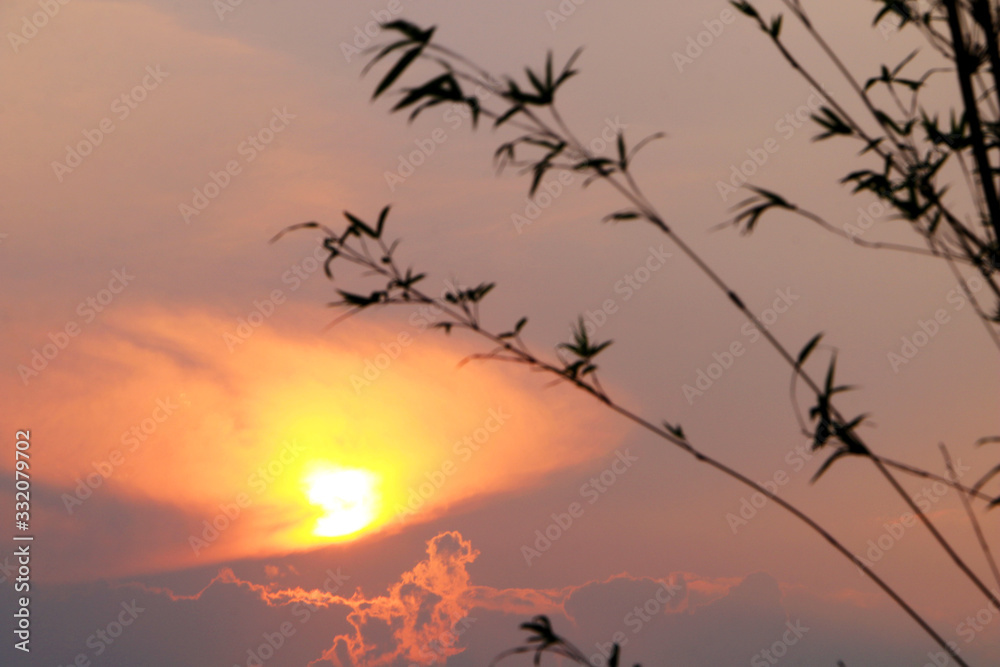 Fototapeta premium sunset in the sky